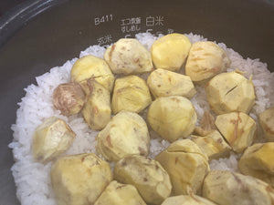 桃の収穫が終わり、栗拾いが始まりました!