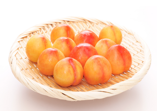 プラム(6月下旬〜7月上旬お届け)