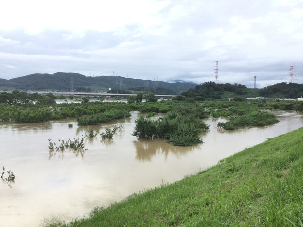 畑の浸水被害について | 信州 小布施町 - プログレスファーム