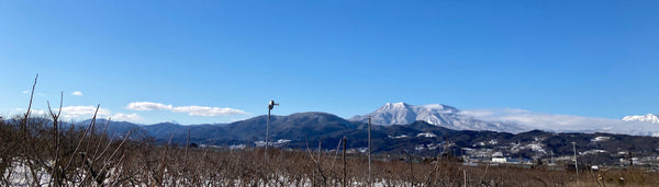 2026年 新年のご挨拶